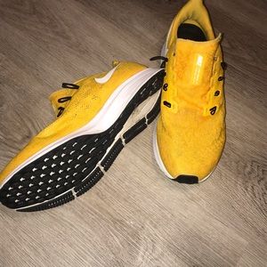 ⭐️Nike Zoom Pegasus